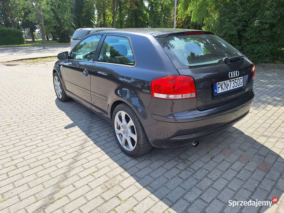 Audi A3 8P 16 8V MPI 102 KLIMA ALU sprowadzony kujawsko-pomorskie