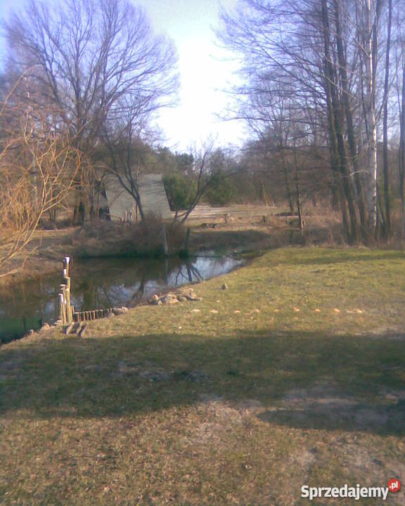 sprzedam gospodarstwo ziemię rolną