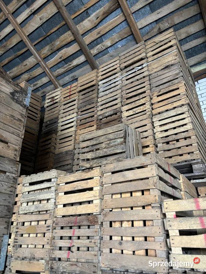 Skrzynki na jabłka jedynki Rolnictwo świętokrzyskie Błoniec