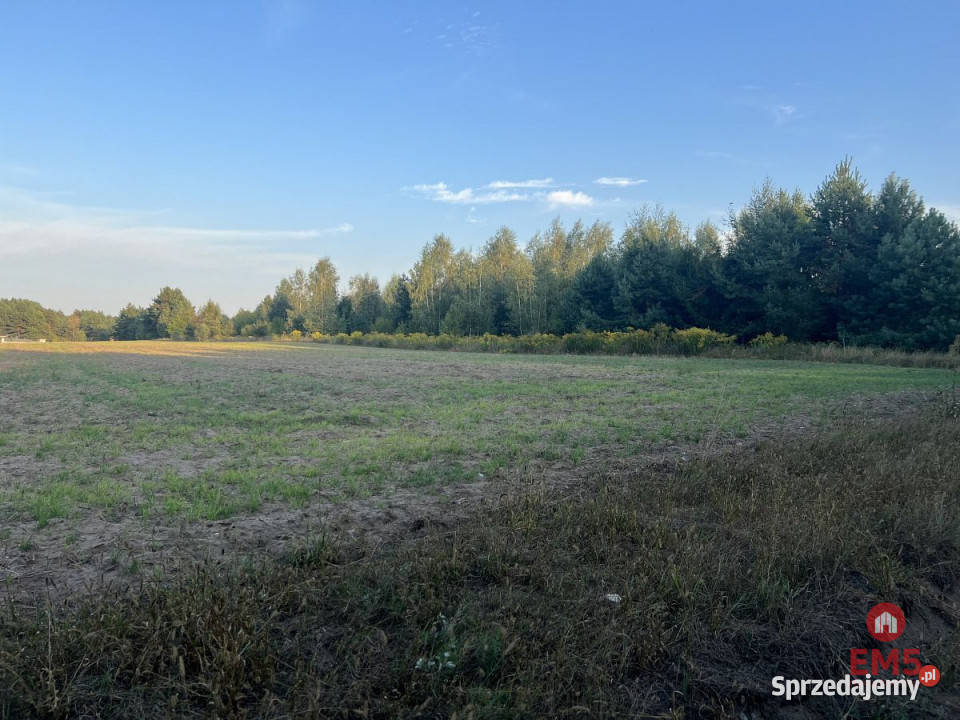 Grunt 18809m2 Morze sprzedam