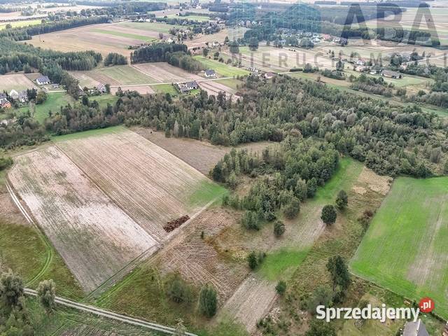 Działka rolna idealna na stadninę Brzózki gm