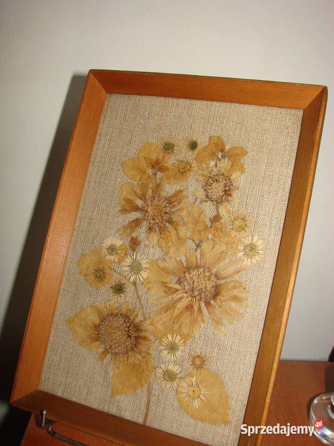 suszone kwiaty na płótnie w ramce PRL pomorskie Pruszcz Gdański