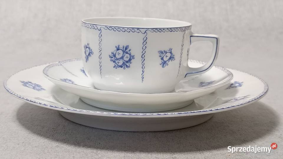 Thomas Rosenthal Art Nouveau Filiżanka zachodniopomorskie Dobrzany