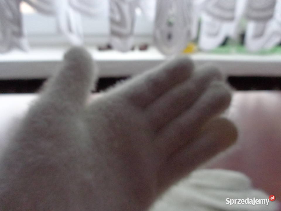 białe ekry rękawiczki alpakowe uniwersalne Poznań