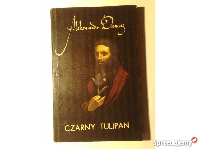 Aleksander Dumas Czarny Tulipan Katowice