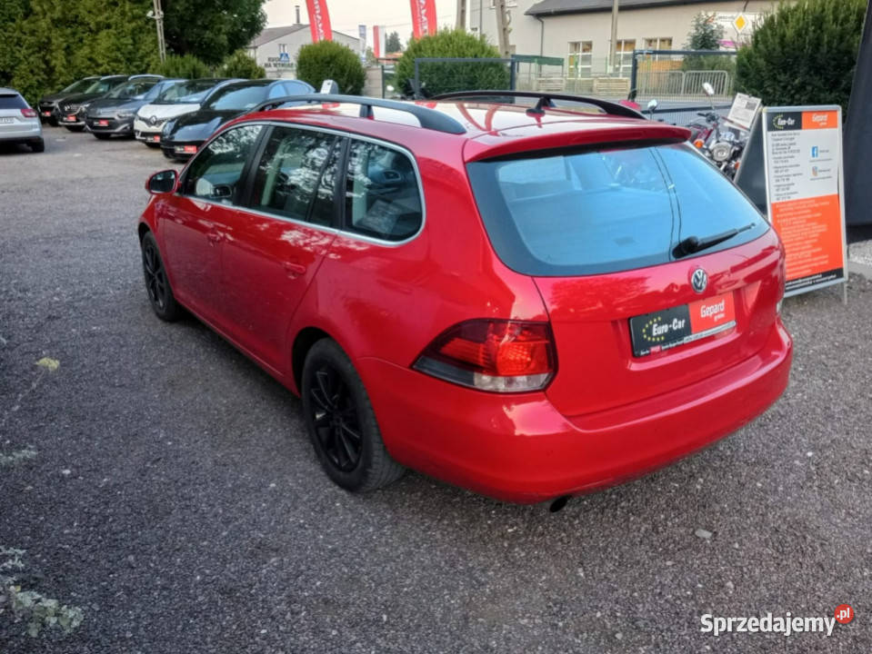 Volkswagen Golf Automatyczna skrzynia biegów DSG Janów Lubelski
