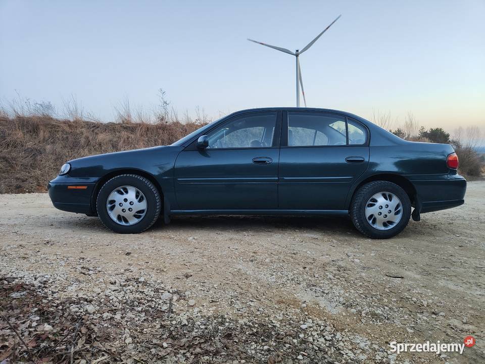 Chevrolet Malibu 31 V6 155 1999r Jeden