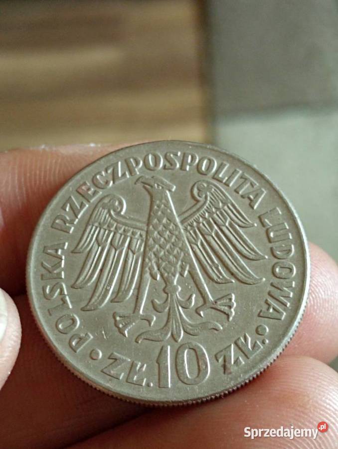 Sprzedam 10 zl 1964 r Chełm