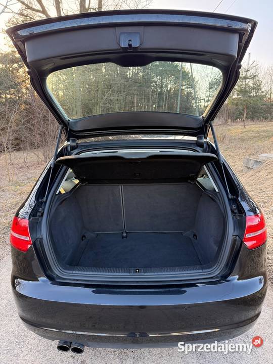 Audi A3 8P 2009r 20 TDI CR nieuszkodzony Turek