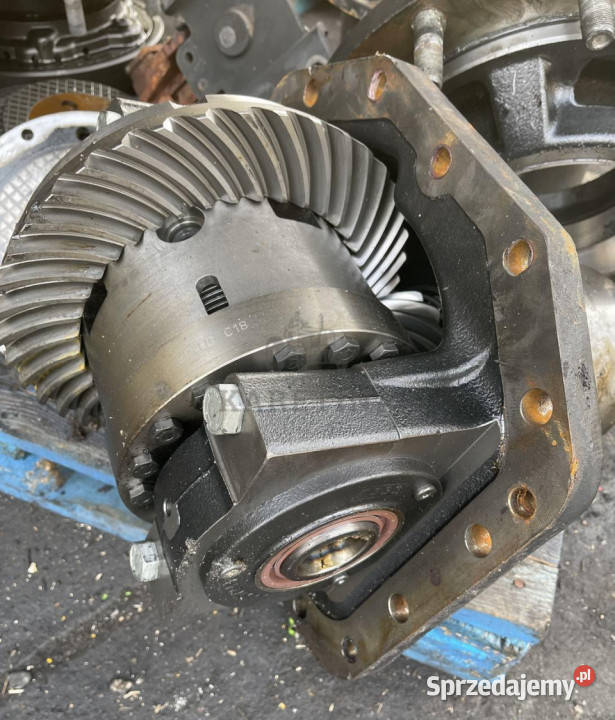 CASEzwolnica zwrotnica mechanizm róźnicowyCase Jastrzębniki