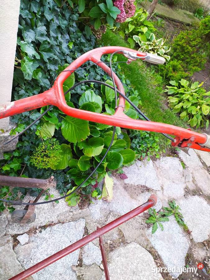 Glebogryzarka spalinowa dolnośląskie Strzegom