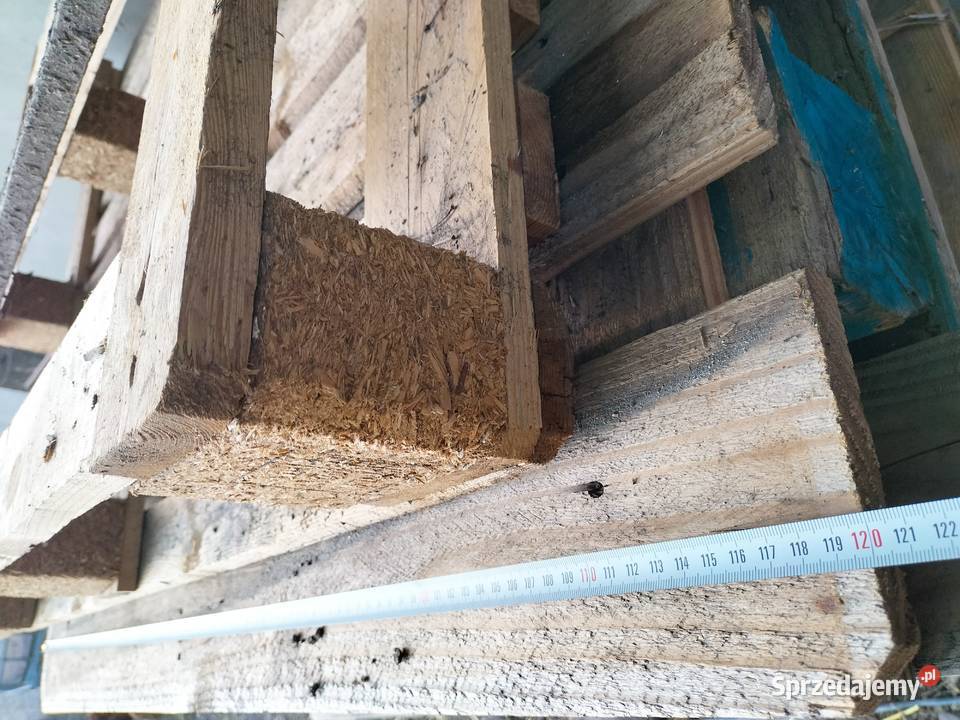 PALETY PALETA 100X120 Kamień-Kolonia