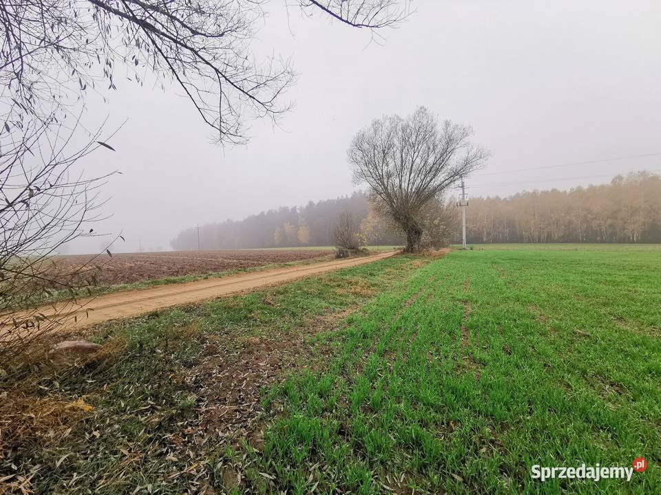 SZUMLIN Działki rekreacyjne z warunkami zabudowy Nieruchomości
