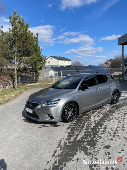 Sprzedam Sokoły sprzedam