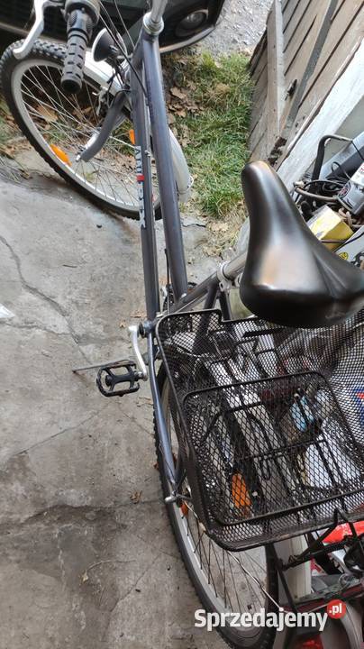 Rower damski Alu Rex Kamienna Góra