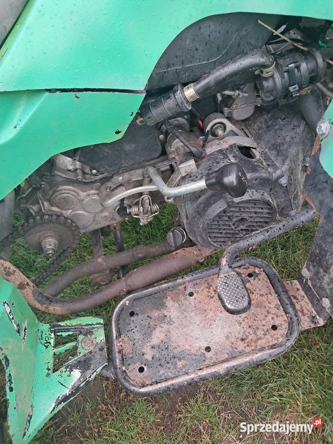 Quad 125 bashan Popęszyce