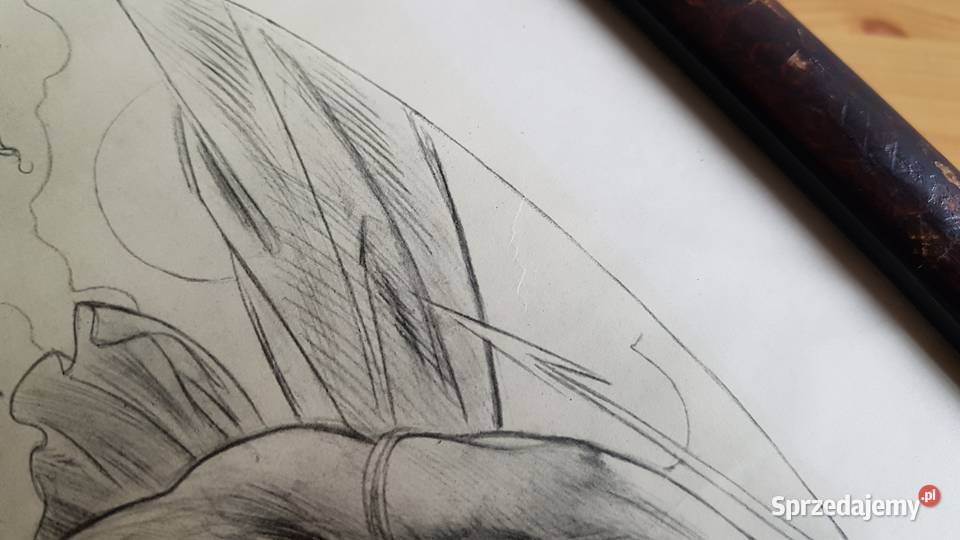 Stara grafika Mikolas Ales Severni Prusmyky Dąbrowa Górnicza