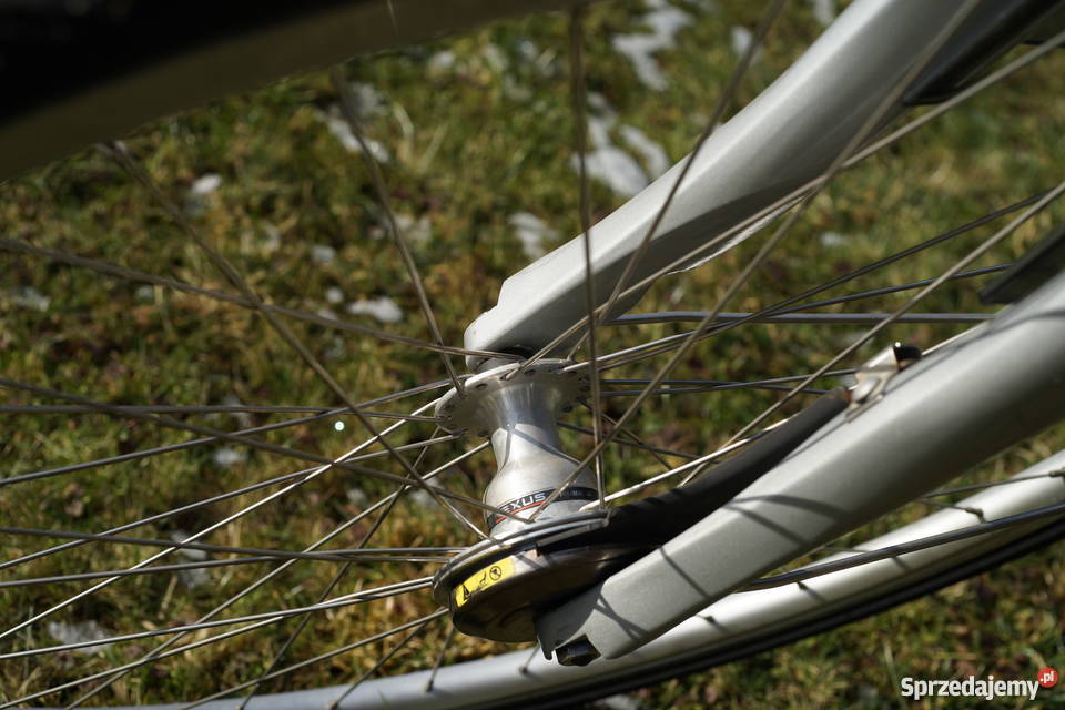 Rower elektryczny SPARTA ION L