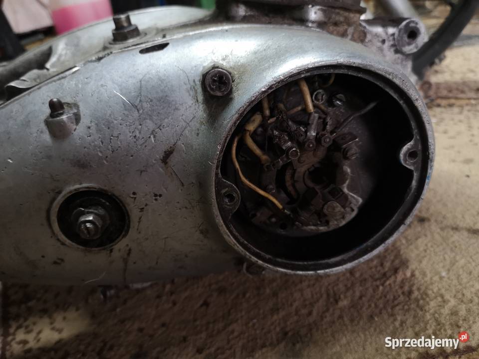 Iz 49 czesci Jasionka