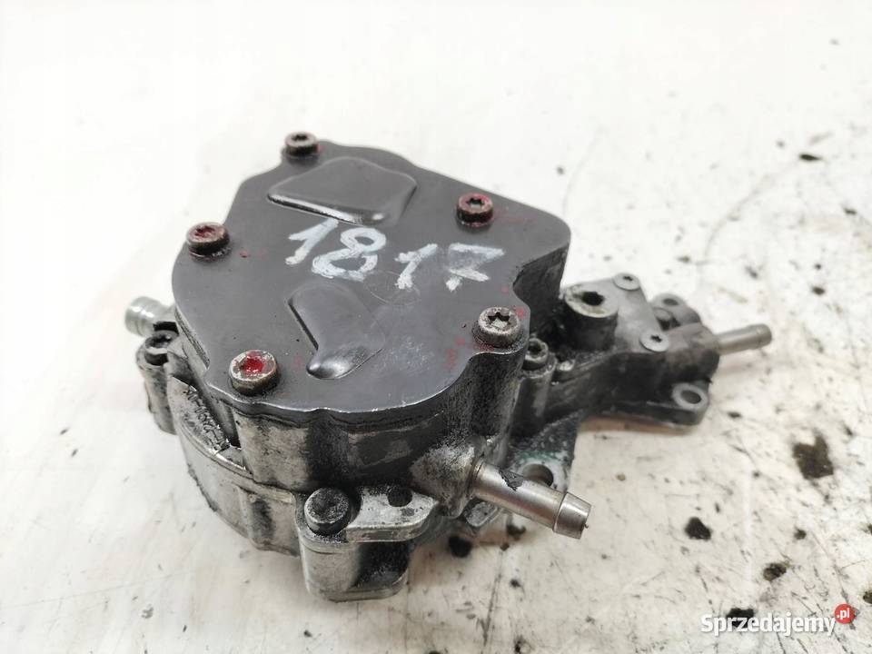 POMPA VACUM 038145209E LUK 19 TDI Seat Alhambra