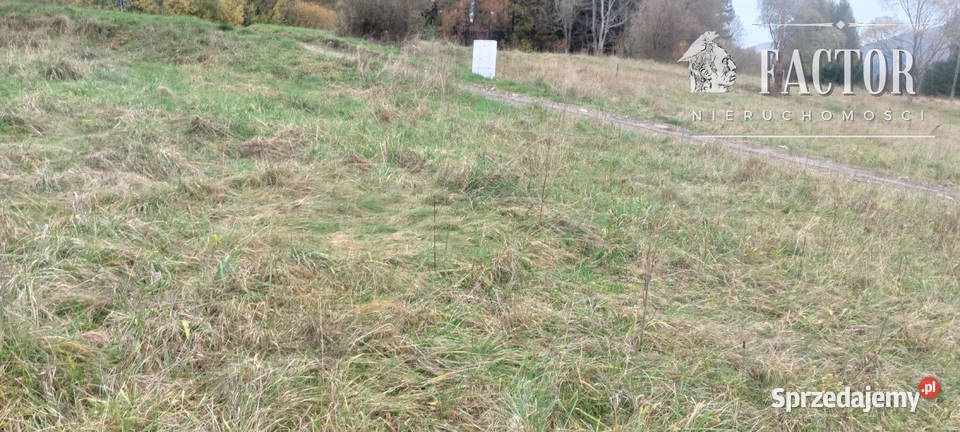 Hańczowa działka budowlana 10 a 1162S sprzedam