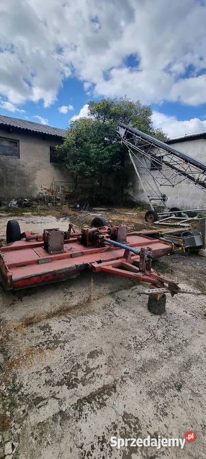 Kosiarka węgierska Boglewice