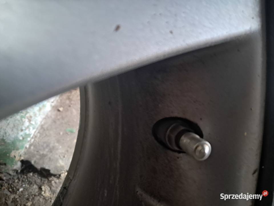 Sprzedam komplet letnich kol leguna2 5x108 Orłów Drewniany-Kolonia sprzedam