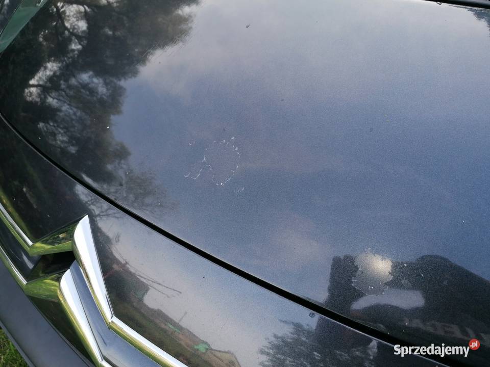 Citroen Jumpy 20 HDI 2008 1997cm3 Citroën Citroën Złotów