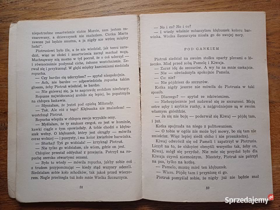 O chłopcu który szukał domu I Jurgielewiczowa Kraków