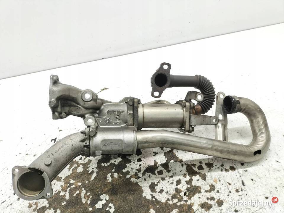 ZAWÓR EGR 8200729079 15 DCI Renault Laguna III