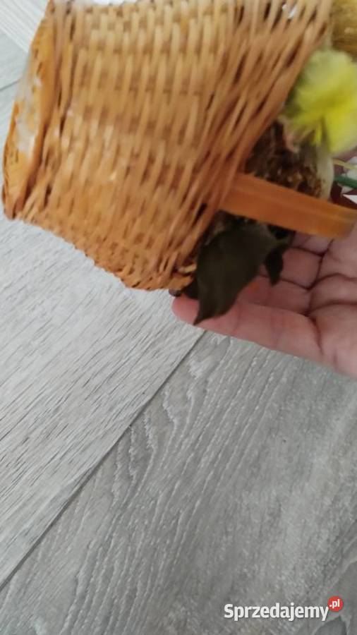 koszyczek koszyk wielkanocny kurki sprzedam