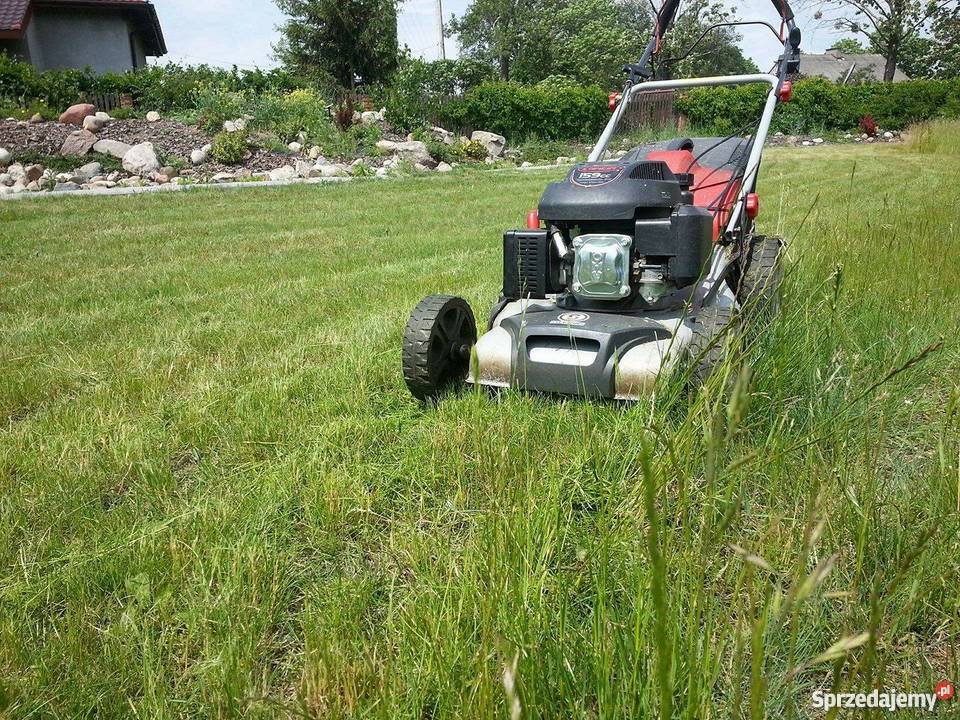 Madbruk Ogród i Kostka Brukowa