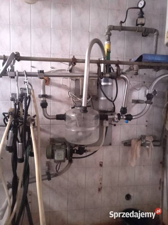 Dojarka Westfalia Szumowo