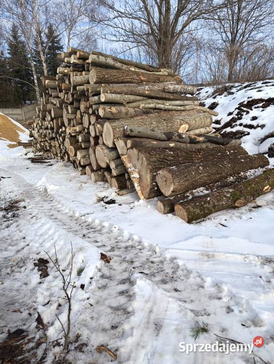 Drewno w wałkach S2A 250 Osika Sosna Brzoza Dąb