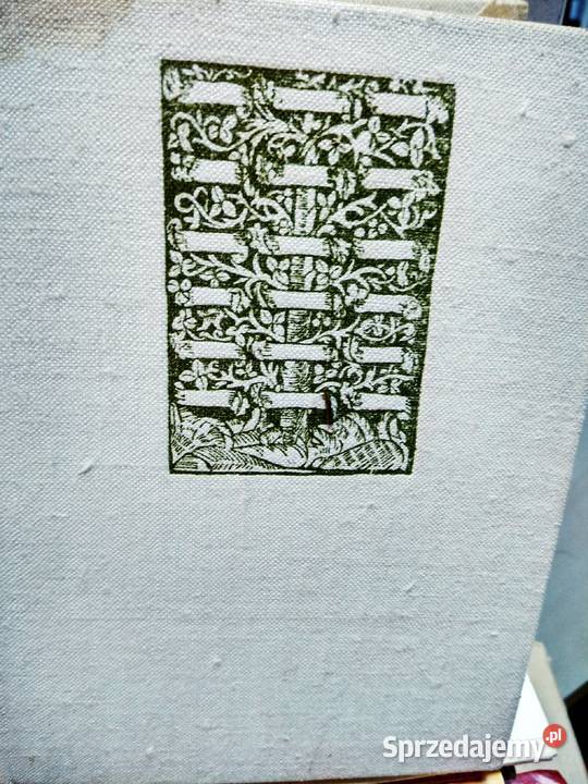 Jadwiga i Jagiełło historyczne książki outlet Warszawa