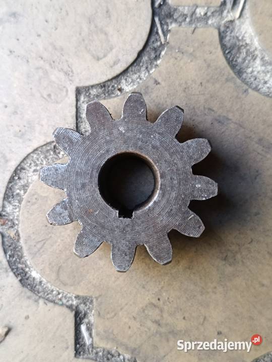 Zębatka mała Przeworno sprzedam