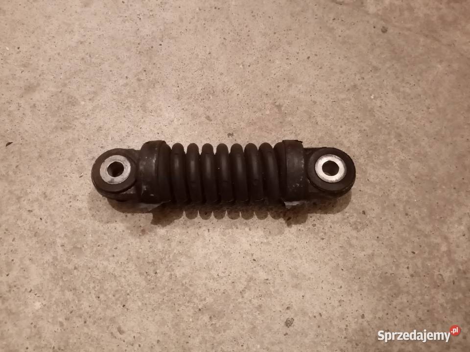 Tłumik drgań paska wielorowkowego Citroen Łódź