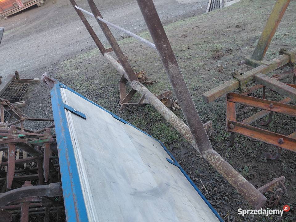 Brony 3 Grudziądz nieuszkodzony Uszew