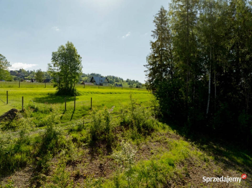 Działka Wierch Głodowski Bukowina Tatrzańska utwardzona