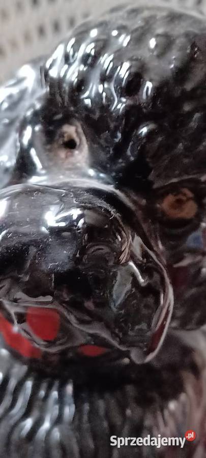 PUDEL CERAMICZNY 20 WYS BYL LAMPKĄ TERAZ W Poznań