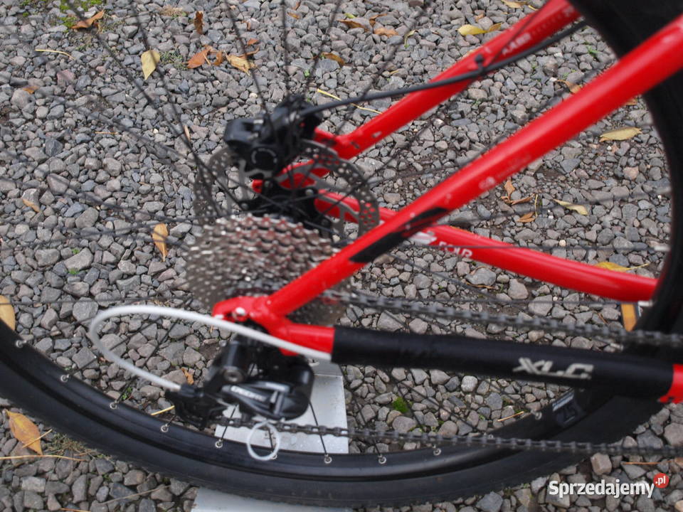 Rower Trek XCaliber 29er Chojnów
