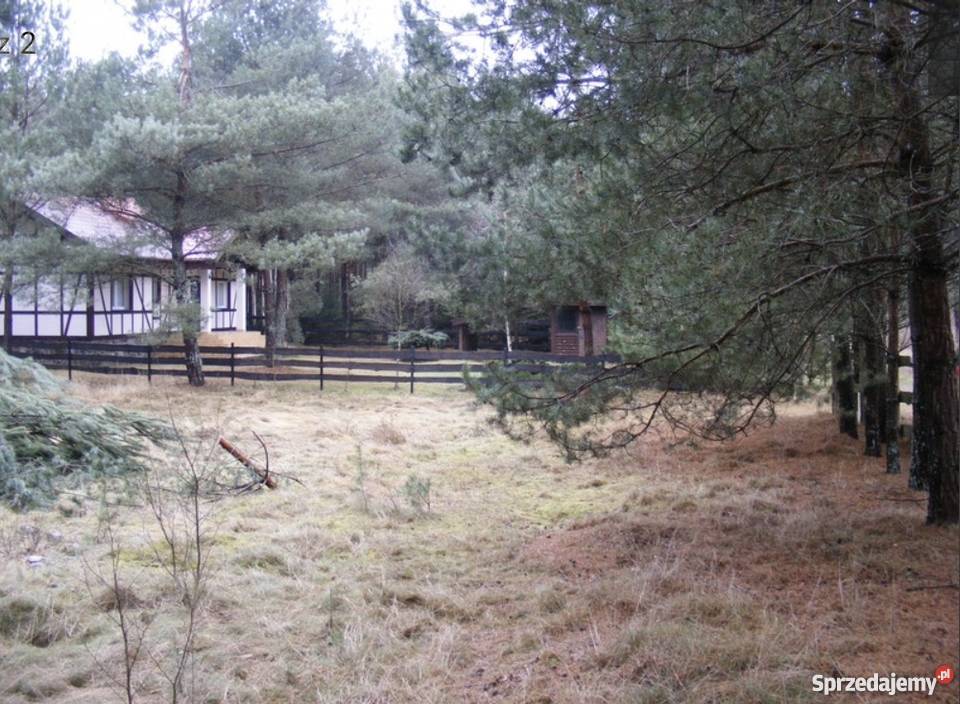 Działka stara kiszewa super okazja