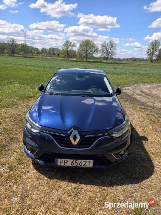 Renault Megane 15 dCi Krzewina
