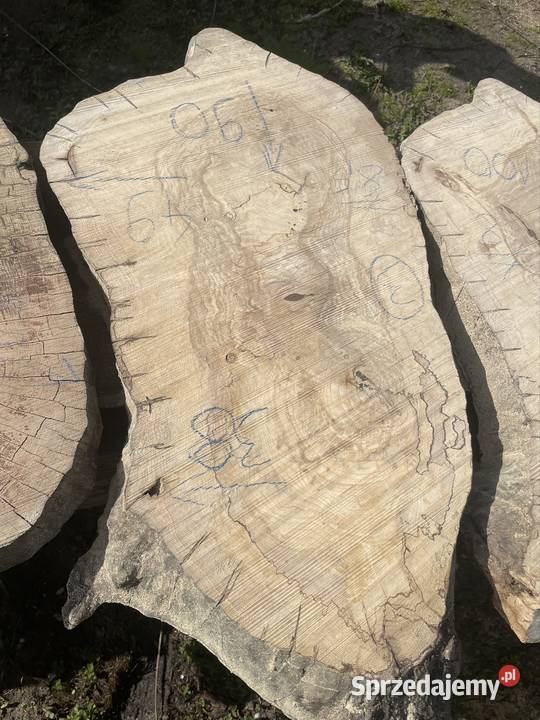 Plaster jesion orzech stolik kawowy live edge sprzedam