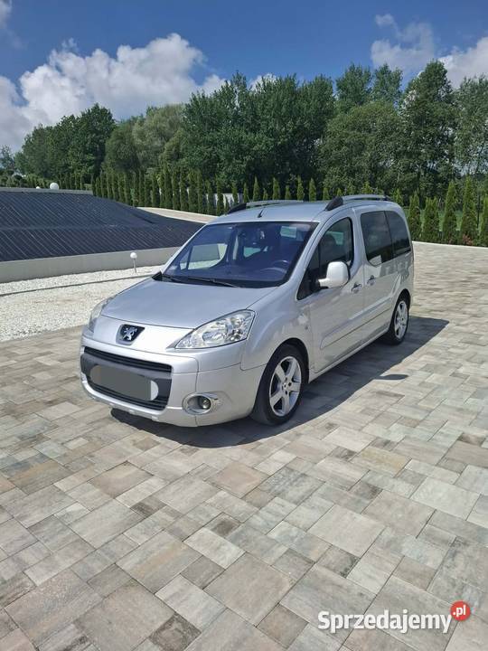 Peugeot Dębica