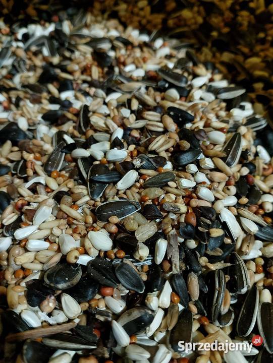 Karma papug kanarków gryzoni Strzeleczki