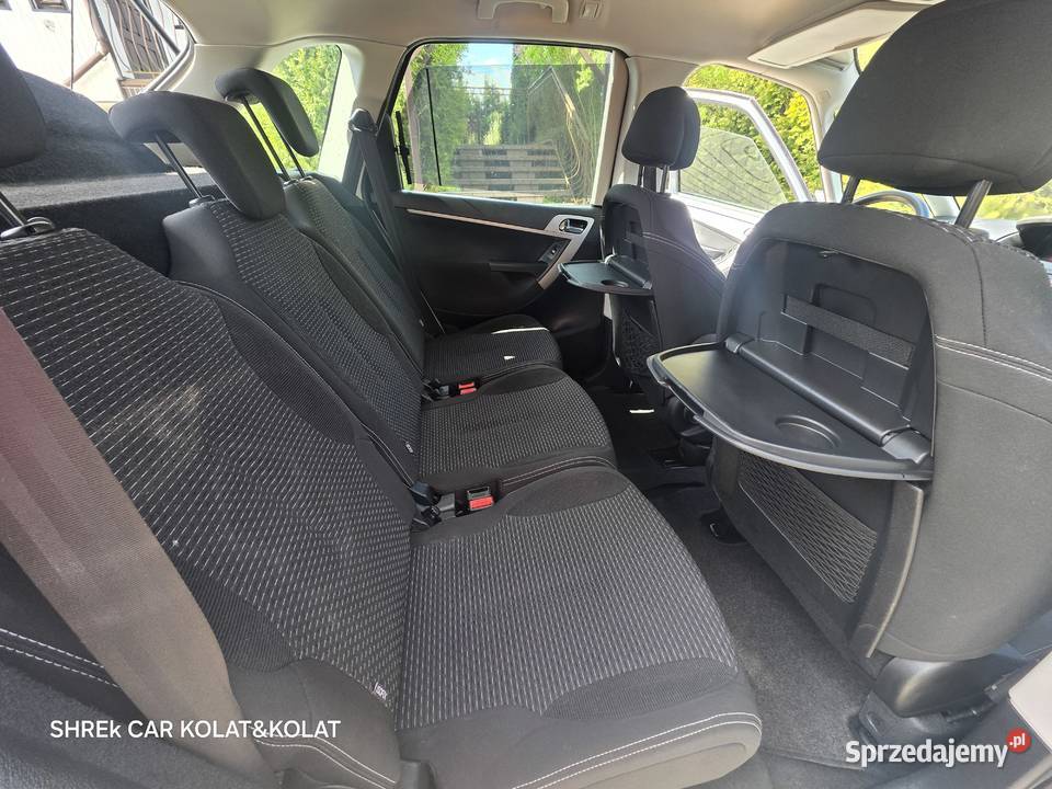 Citroen Picasso 20 diesel 10900