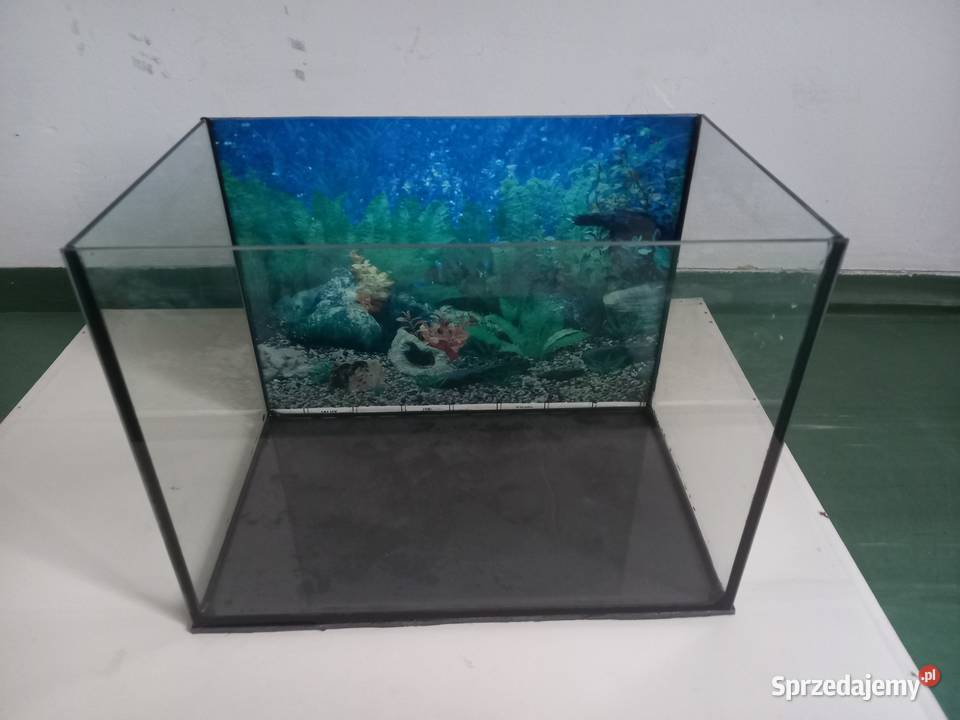 Akwarium 30 l plus tło i mata Akcesoria dla zwierząt