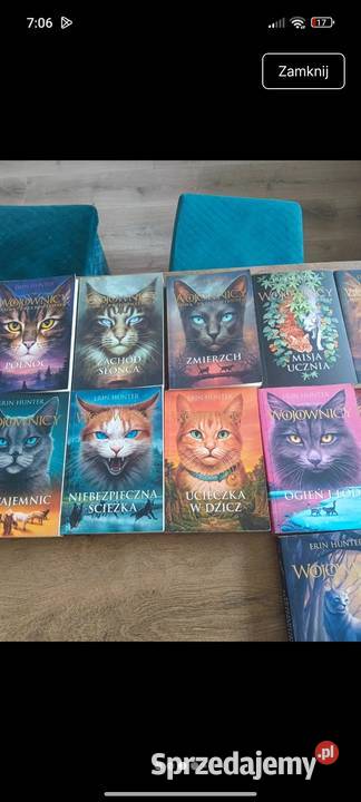 Zestaw książek Wojownicy Erin Hunter Kultura i Rozrywka Mirzec