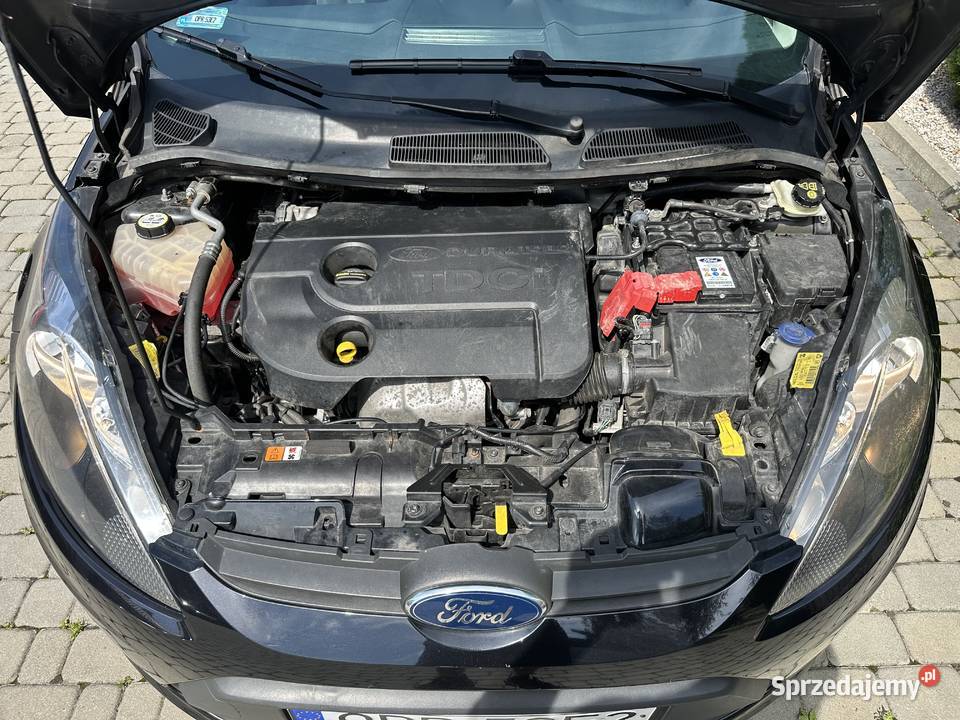 Ford Fiesta 2011 14 Diesel Fiesta opolskie Prudnik